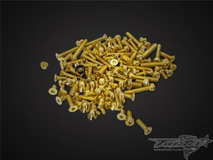 TR-GST-MTC1 Gold Plated Steel Screw Set ( For Mugen MTC1 )
